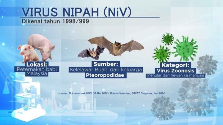 Kepri Waspadai Ancaman Virus Nipah dari Malaysia