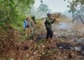 248 Hektare Lahan di Riau Terbakar Sejak Januari