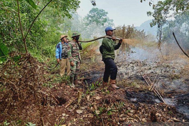 248 Hektare Lahan di Riau Terbakar Sejak Januari