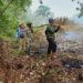 248 Hektare Lahan di Riau Terbakar Sejak Januari