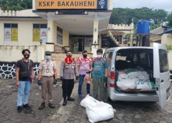Penyelundupan 700 Kg Daging Celeng di Pelabuhan Bakauheni Terbongkar