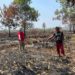 Polda Riau Tahan Delapan Pembakar Hutan