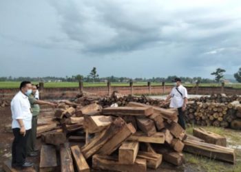 Ratusan Sonokeling Disita dari Gudang Bekas Penggilingan Padi