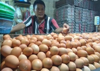Disperindag OKU Langsung Sidak Peredaran Telur Palsu