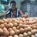Disperindag OKU Langsung Sidak Peredaran Telur Palsu