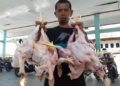 Harga Daging Ayam di Aceh Turun
