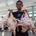 Harga Daging Ayam di Aceh Turun