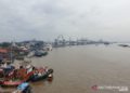 Pemkot Palembang Galakkan Pelestarian Ikan di Sungai Musi