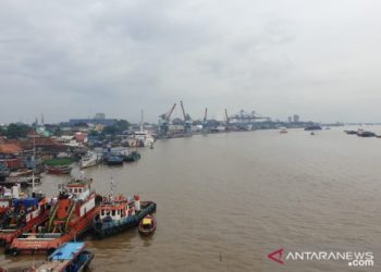 Pemkot Palembang Galakkan Pelestarian Ikan di Sungai Musi