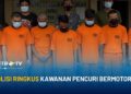 Polisi Ringkus Kawanan Pencuri Bermotor di Bandar Lampung