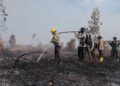 Kebakaran hutan di Sumatra Utara