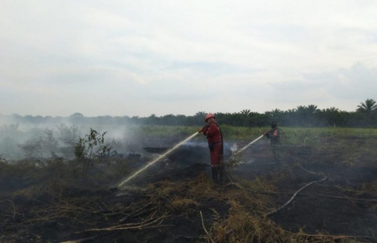Kepulauan Meranti Bebas Karhutla untuk Sementara