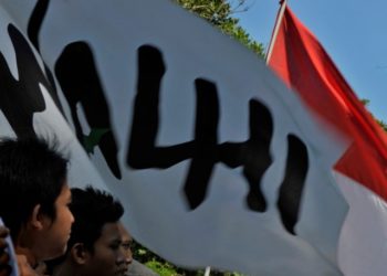 Walhi Sumsel Kritisi Pengembangan Pulau Kemaro Jadi Taman Impian