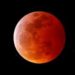 BMKG Sebut Puncak Gerhana Bulan di Jambi Pukul 18.18 WIB