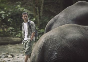 Film Dokumenter tentang Konflik Manusia dan Gajah di TNWK segera Tayang