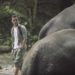 Film Dokumenter tentang Konflik Manusia dan Gajah di TNWK segera Tayang