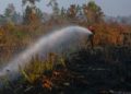 Kebakaran Hutan dan Lahan di Indragiri Hilir Mencakup 304, 5 Hektare