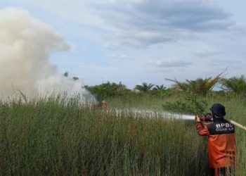 Dua Hektare Lahan di Desa Parit Terbakar