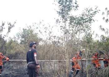 Sebanyak 2,5 Hektare di Lahan di Ogan Ilir Terbakar