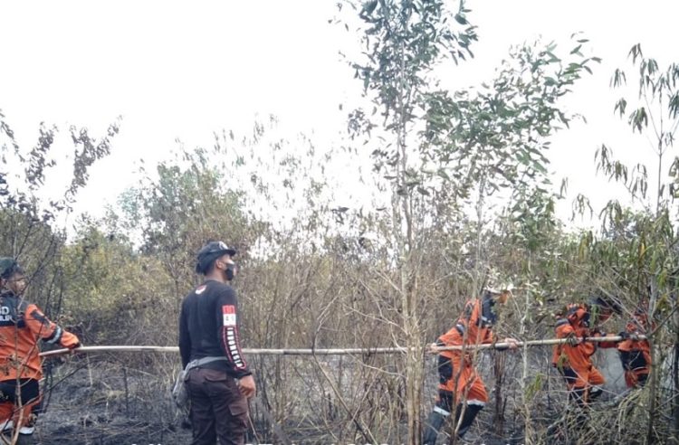 Sebanyak 2,5 Hektare di Lahan di Ogan Ilir Terbakar