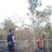 Sebanyak 2,5 Hektare di Lahan di Ogan Ilir Terbakar