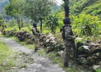 KKB Tembak Satu Keluarga di Ilaga