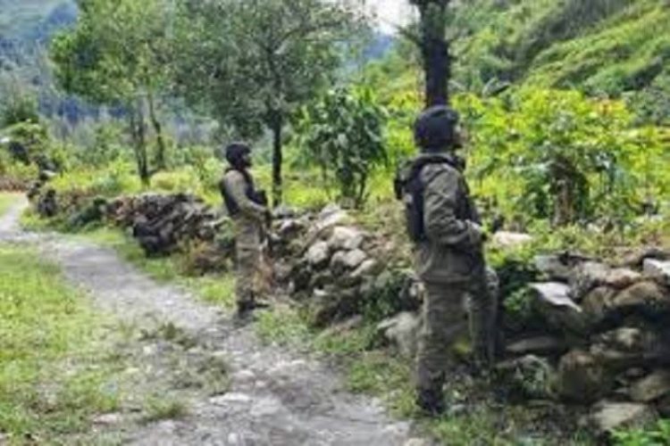KKB Tembak Satu Keluarga di Ilaga