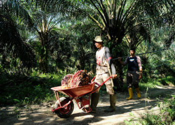 Wujudkan Merdeka Koneksi di Tanampulu Donggala