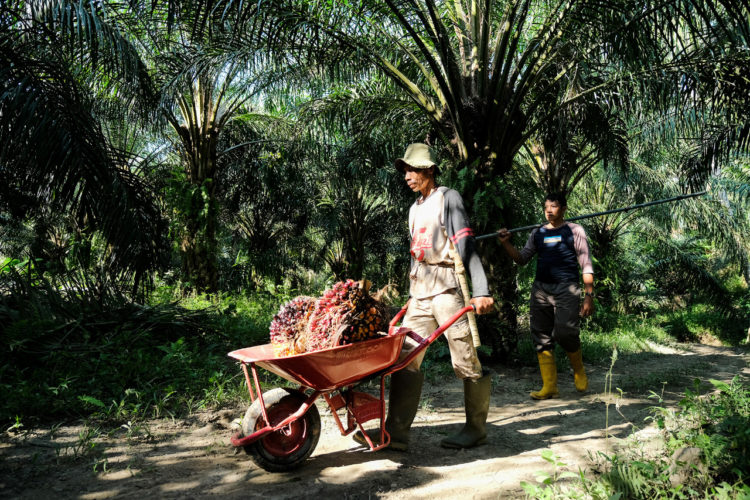 Wujudkan Merdeka Koneksi di Tanampulu Donggala