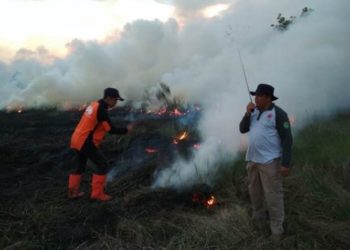 Karhutla Ancam Sumatra, NTB, dan NTT pada Agustus-Oktober 2021