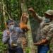 8 Kukang Dilepasliarkan di Kawasan Konservasi Riau