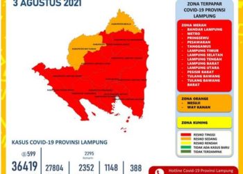 Seluruh Daerah di Lampung Nyaris Zona Merah Covid-19
