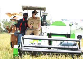 Lampung Raih Peringkat Pertama Produksi Padi Tertinggi
