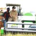 Lampung Raih Peringkat Pertama Produksi Padi Tertinggi