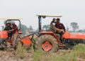 Penyuluh Lapangan Perkuat Peningkatan Produksi Pertanian di Bangka