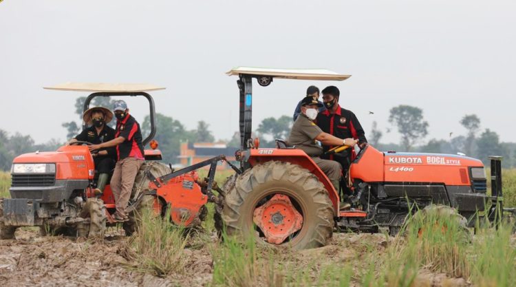 Penyuluh Lapangan Perkuat Peningkatan Produksi Pertanian di Bangka