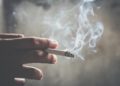 Asap Rokok Pciu Penyakit Paru