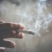 Asap Rokok Pciu Penyakit Paru