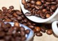 Ekspor Meningkat, Petani Lampung Harap Produksi Kopi Terserap