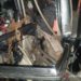 Kecelakaan Minibus Vs Truk di Jambi, 5 Orang Tewas