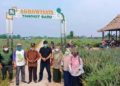 Muaro Jambi Angkat Agrowisata Nanas di Tangkit Baru