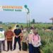 Muaro Jambi Angkat Agrowisata Nanas di Tangkit Baru