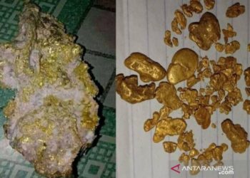 Penemuan Bongkahan Emas di Sungai Are OKU Sumsel Bikin Heboh