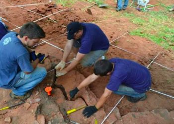 Fosil Dinosaurus Theropoda Ditemukan di Brasil