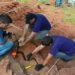 Fosil Dinosaurus Theropoda Ditemukan di Brasil