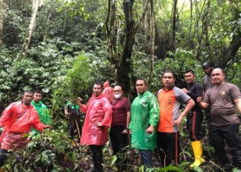 Polisi Temukan Setengah Hektare Ladang Ganja di Hutan Adat Kerinci