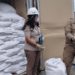 250 Ton Beras Impor Ilegal Disita di Tanjung Priok