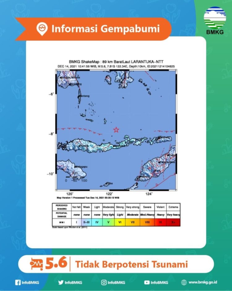Gempa Bermagnitudo 7,5 di Larantuka Dirasakan di NTB hingga Maluku
