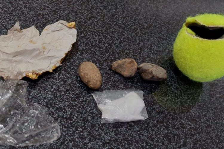 Selundupkan Sabu Lewat Bola Tenis Digagalkan Petugas Lapas Sijunjung