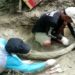Fosil Gading Gajah 1,5 Meter Ditemukan di Kudus